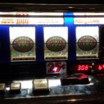 vineszoocontact-jackpot-281423