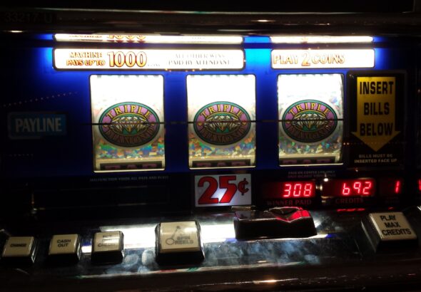 vineszoocontact-jackpot-281423