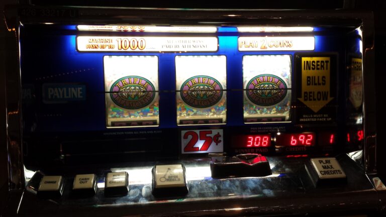 vineszoocontact-jackpot-281423