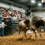 black rodeo