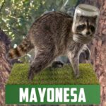 Mayonesa the Raccoon Bobblehead (4)