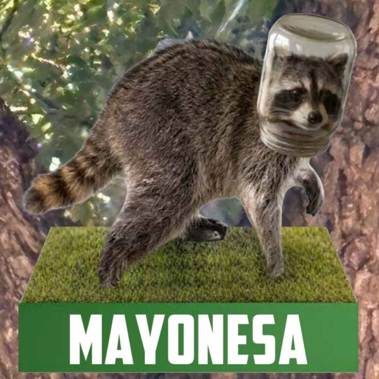 Mayonesa the Raccoon Bobblehead (4)