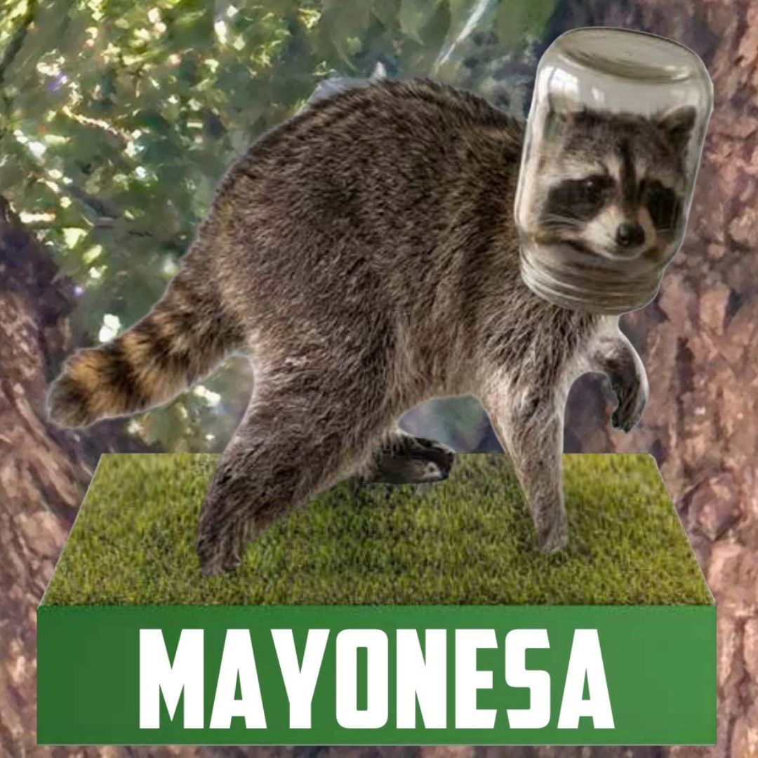 Mayonesa the Raccoon Bobblehead (4)
