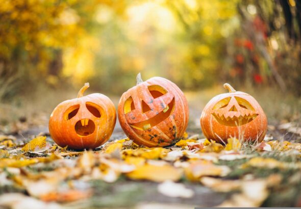 gadgemayur-pumpkin-6720424
