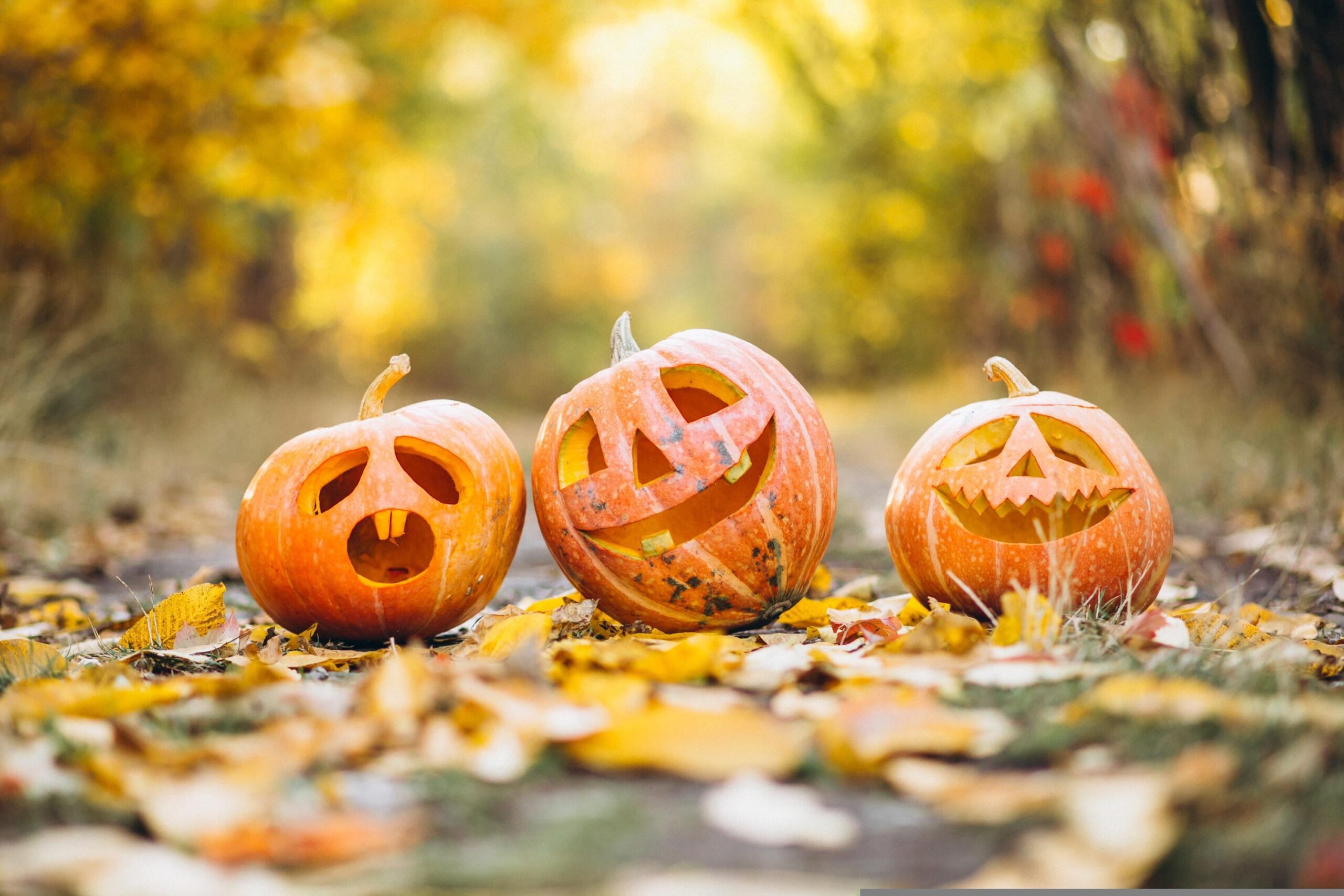 gadgemayur-pumpkin-6720424
